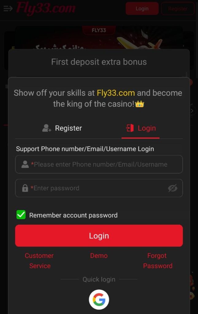 Fly33
